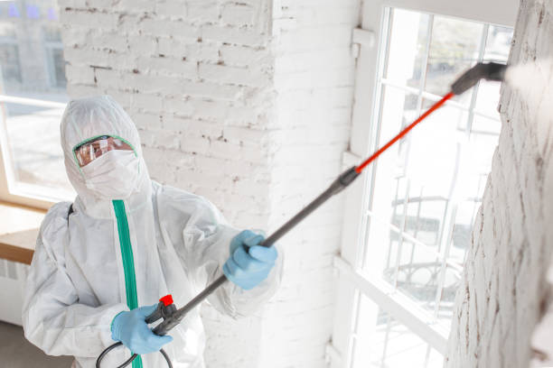Forestbrook, SC Mold Removal Company