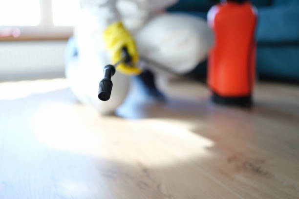 Best Residential Mold Inspection & Testing  in Forestbrook, SC